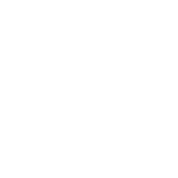 industry icon